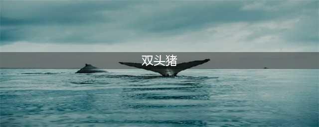 《暖雪》猪之章小Boss缝合双头猪打法攻略(双头猪)