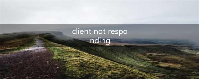 《绝地求生》Client not responding解决方法