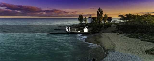 《魔兽世界》怀旧服WLK红玉丁香怎么获得