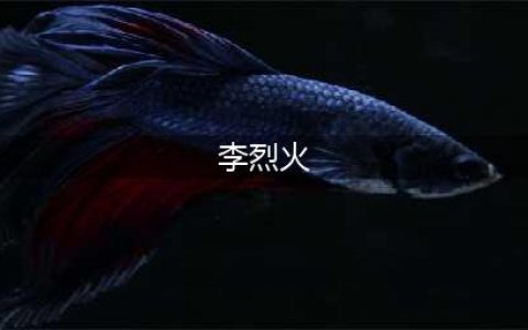 《全明星激斗》李烈火角色介绍