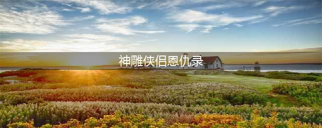 神雕侠侣2恩仇录篇介绍 恩仇录过关技巧(神雕侠侣恩仇录)