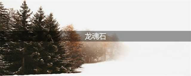 《全民养恐龙》龙魂石有什么用 龙魂石作用介绍(龙魂石)