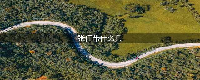三国志战略版袁绍朱儁张任兵书怎么搭配