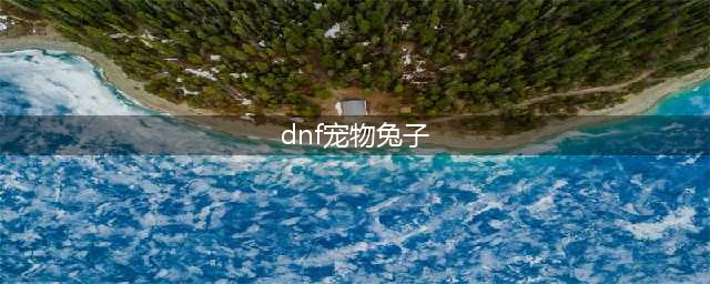 《dnf》白兔子叫什么 白兔子介绍(dnf宠物兔子)