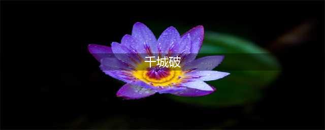 《远征三国》全新版本 千城破、国战结盟玩法上线