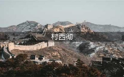 欲望艺术家(村西彻)