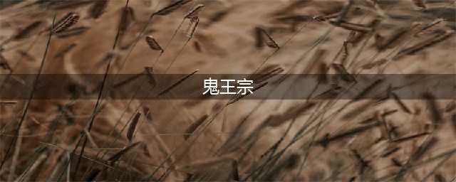 《梦幻诛仙2》鬼王宗玩法解析 鬼王宗怎么玩