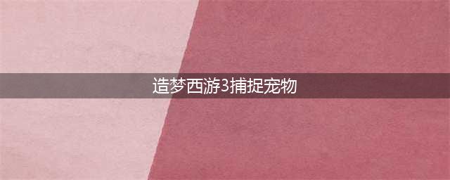 《造梦西游3》宠物怎么抓 造梦西游3抓宠物技巧(造梦西游3捕捉宠物)