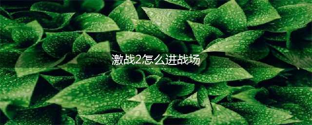 战场怎么玩？ 激战2战场怎么进去(激战2怎么进战场)