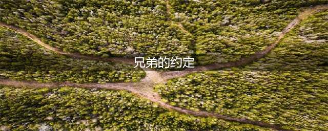 《航海王热血航线》兄弟的约定怎么做 兄弟的约定任务完成攻略(兄弟的约定)