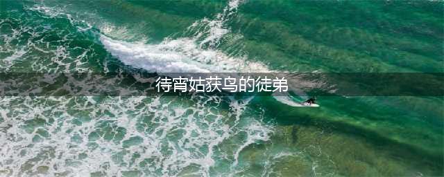 阴阳师姑获鸟的徒弟是谁 以下谁是待宵姑获鸟的徒弟正确答案说明