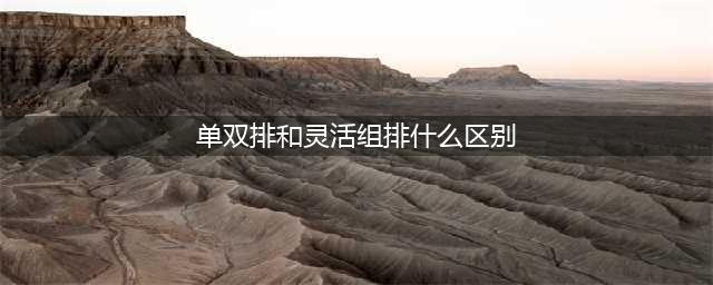 《lol》灵活排位和单双排哪个好 灵活排位和单双排的区别分析(单双排和灵活组排什么区别)