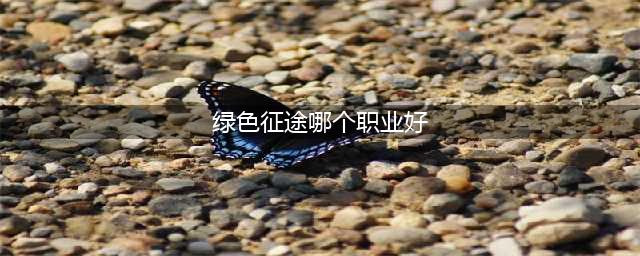 《绿色征途》哪个职业好 职业选择推荐(绿色征途哪个职业好)