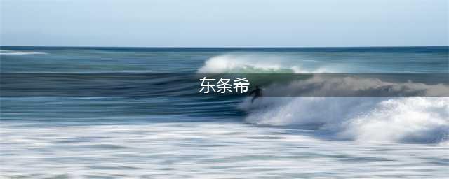 《学园偶像季群星闪耀》东条希怎么样 属性图鉴分享(东条希)
