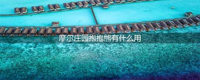 《摩尔庄园手游》抱抱熊用途介绍 抱抱熊有什么用