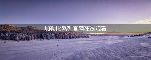 奇幻冒险电影《加勒比海盗》系列(加勒比系列官网在线观看)